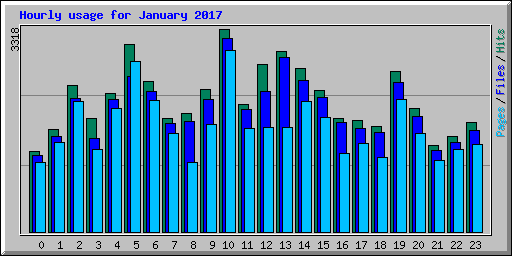 Hourly usage for January 2017